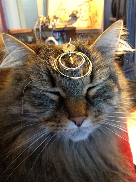 Jewelry Cats Sportingbet